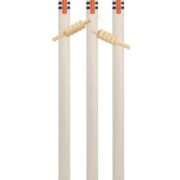 gray nicolls club stumps