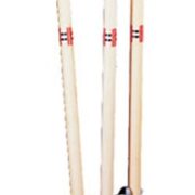 gray nicolls Spring return stumps