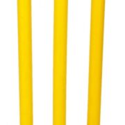 gray nicolls plastic stumps rubber base