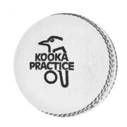Practice White Kookaburra Cricket Ball - Dozen
