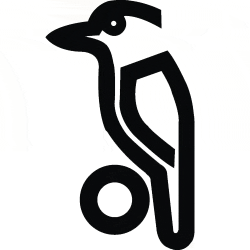 Kookaburra Cricket Bat Shop Kookaburra Bats Australia