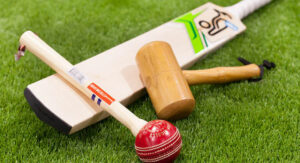 bat knocking kit