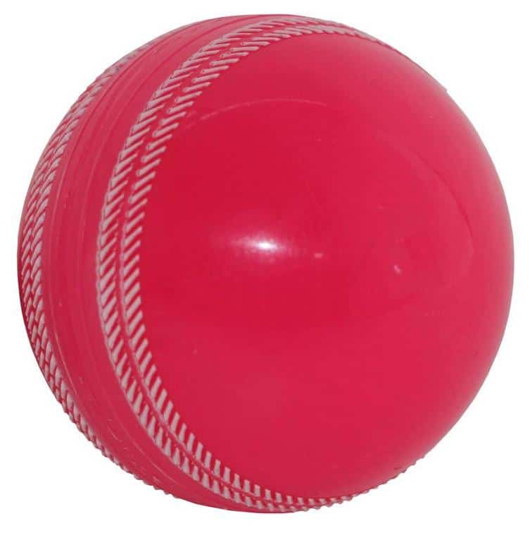 Gray Nicolls Fusion Cricket ball pink