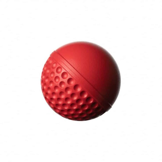 Swinga Technique Ball Red - Image 3