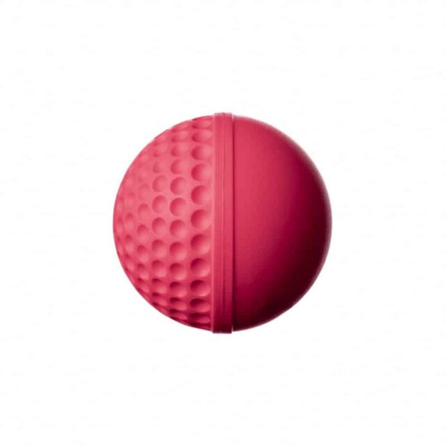 Swinga Technique Ball Pink