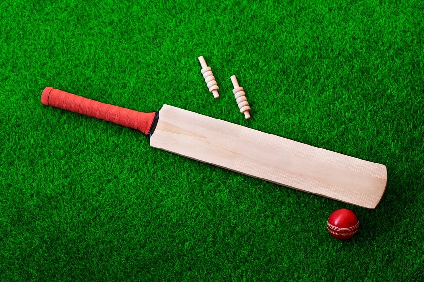 cricket bat care tips