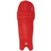 Clads Gray Nicolls - Image 4