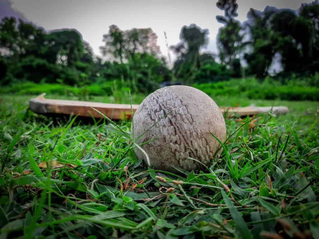 cricket ball on grass