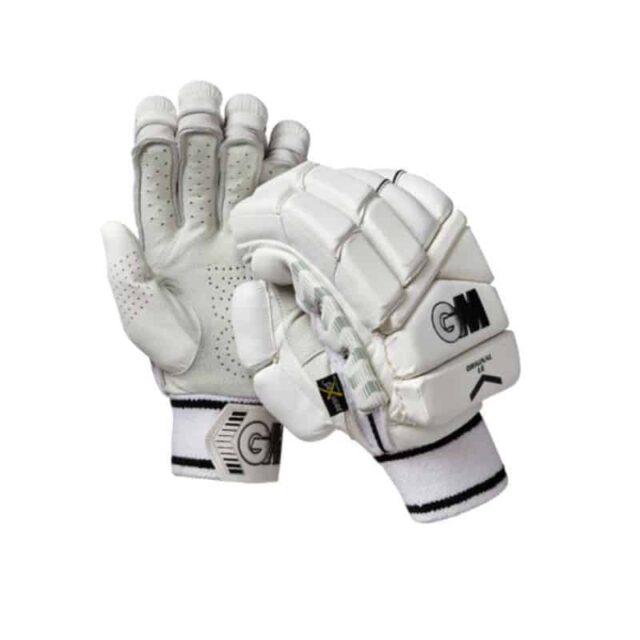 GM Original LE Meulemans Cricket Centre