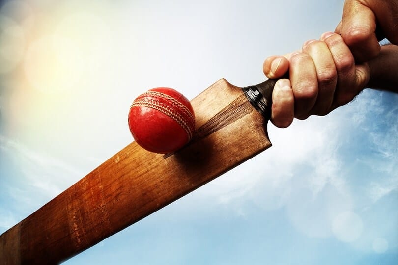 cricket-bat-maintenance guide