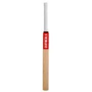 Technique 55 Training Bat