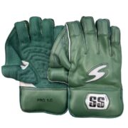 Pro 1.0 SS Wicket Keeping Gloves