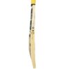 Pro Player LE SS Cricket Bat - Image 2