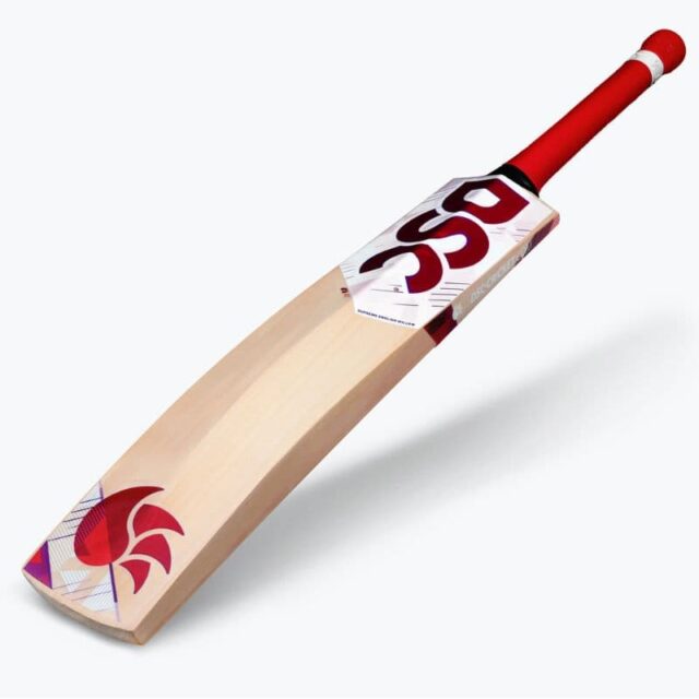 DSC Flip 400 Cricket Bat - Image 2