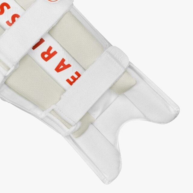 DSC Bull 31 Batting Pads - Image 2