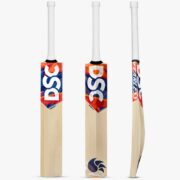 DSC Krunch 900 Cricket Bat