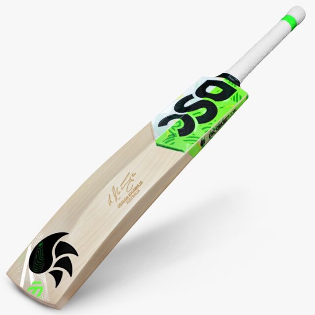 DSC Split Players Cricket Bat - Image 2