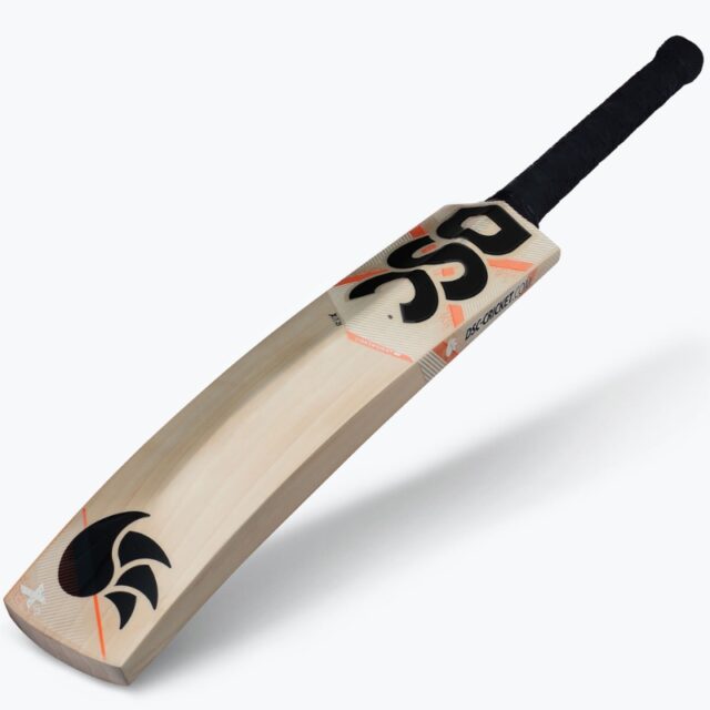 DSC Xlite 25 Cricket bat - Image 3