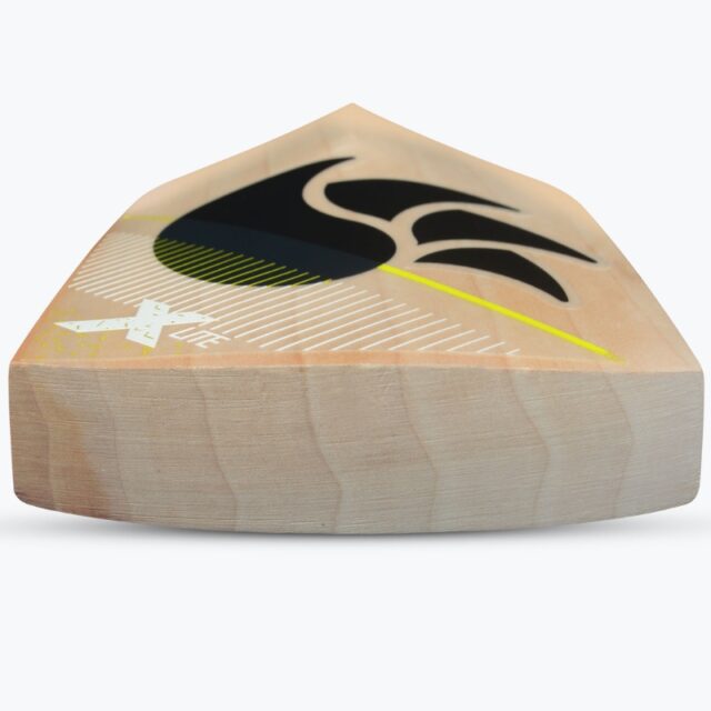 DSC Xlite 35 Cricket Bat - Image 2