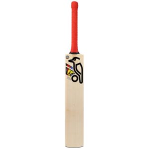 Beast Pro 4.0 Kookaburra Bat