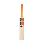 SS Ravindra Jadeja Players Bat