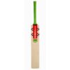 Gray Nicolls Fusion Players Edition Bat