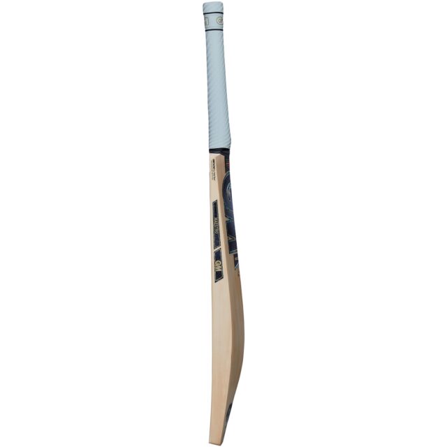 Maestro DXM Pro Bat - Image 2